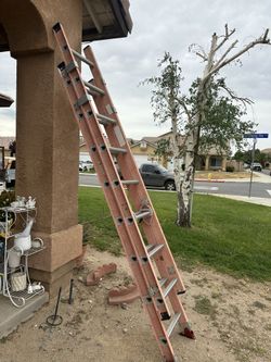 Escalera 16 Ft