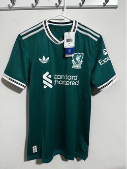 Liverpool 25/26 third kit