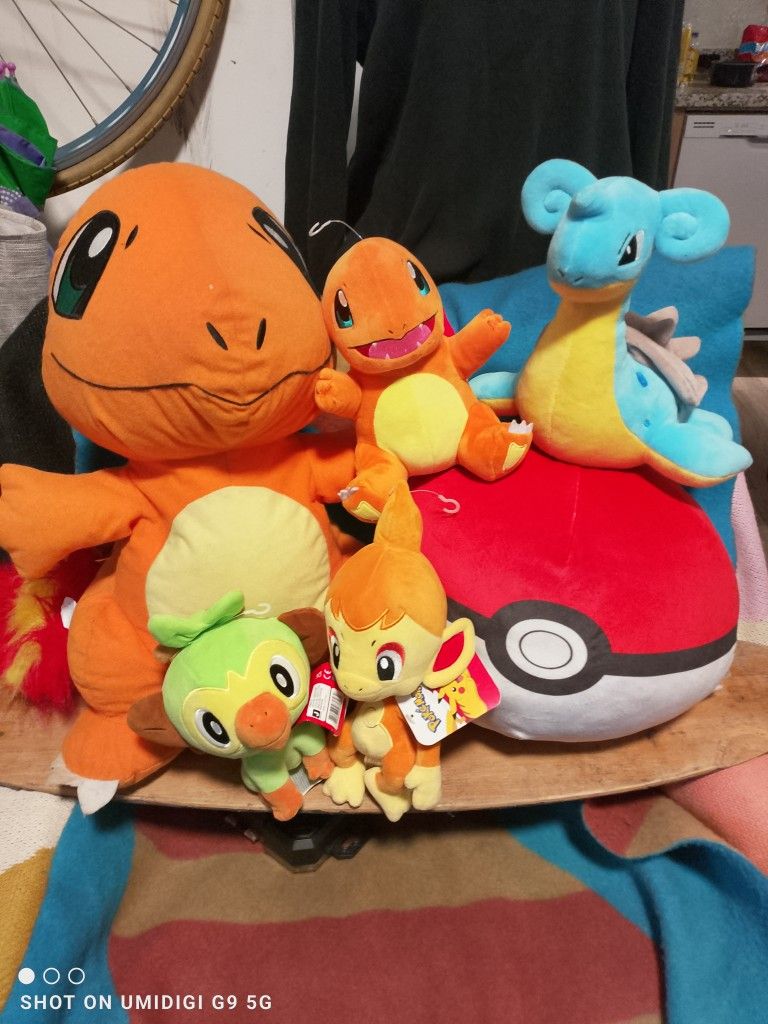 POKEMON PLUSH ANIMALS (6)