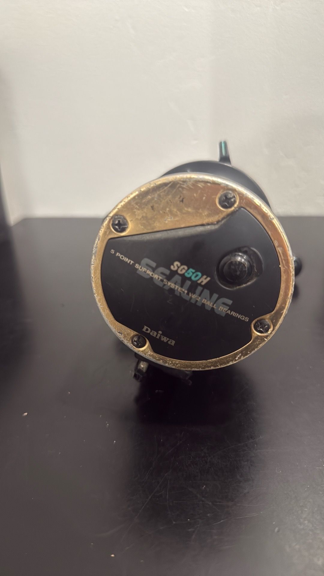 Daiwa sealine fishing reel