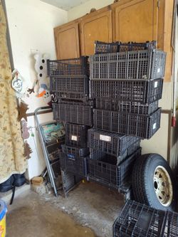 Over 25 plastic crates all for $10