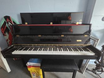 Kranich & Bach Acoustic Piano
