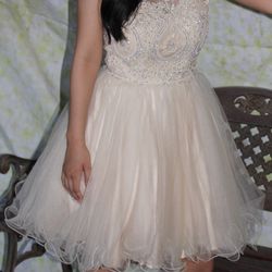 Quinceanera Dama/ Prom/ Sweet 16/ Party Dress/ Formal