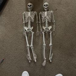 2 skeletons 3’ foot each one