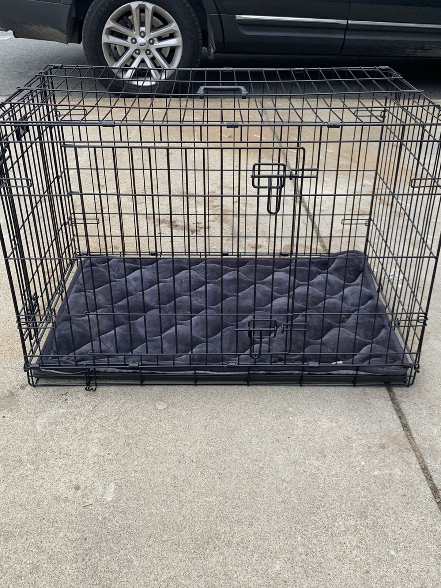 Dog Crate with Bedding