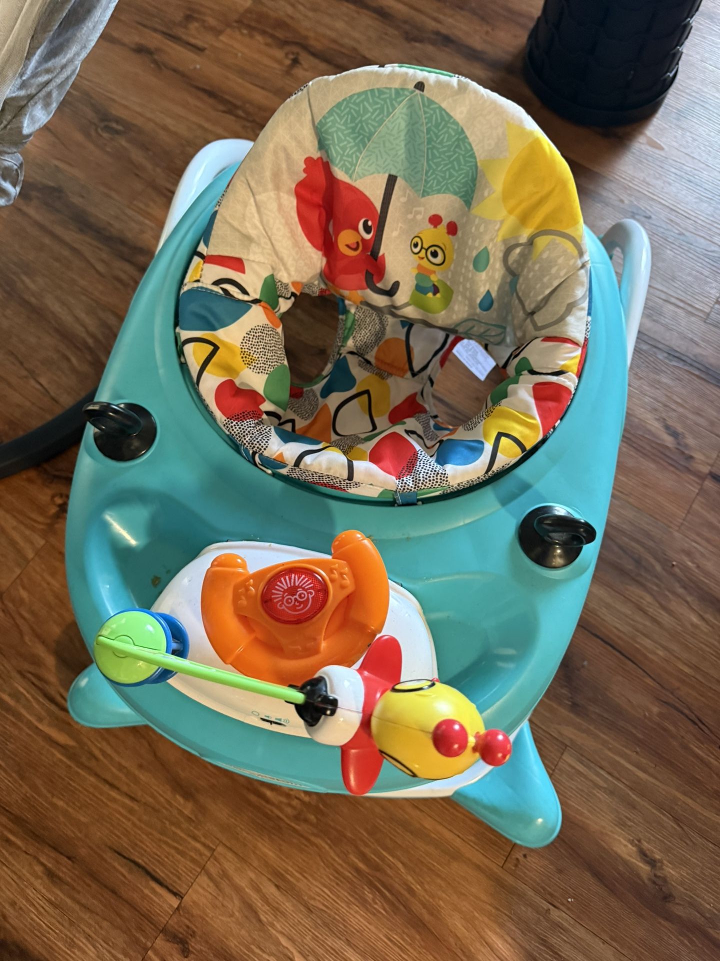Baby Einstein Walker