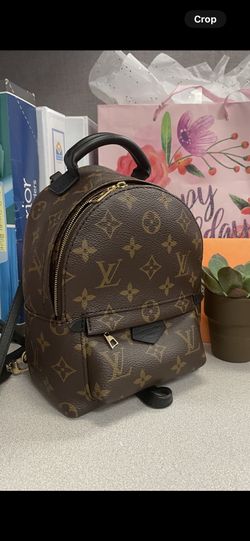 LV Palm Springs Mini