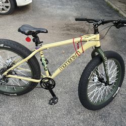 Fat Tire Bike  