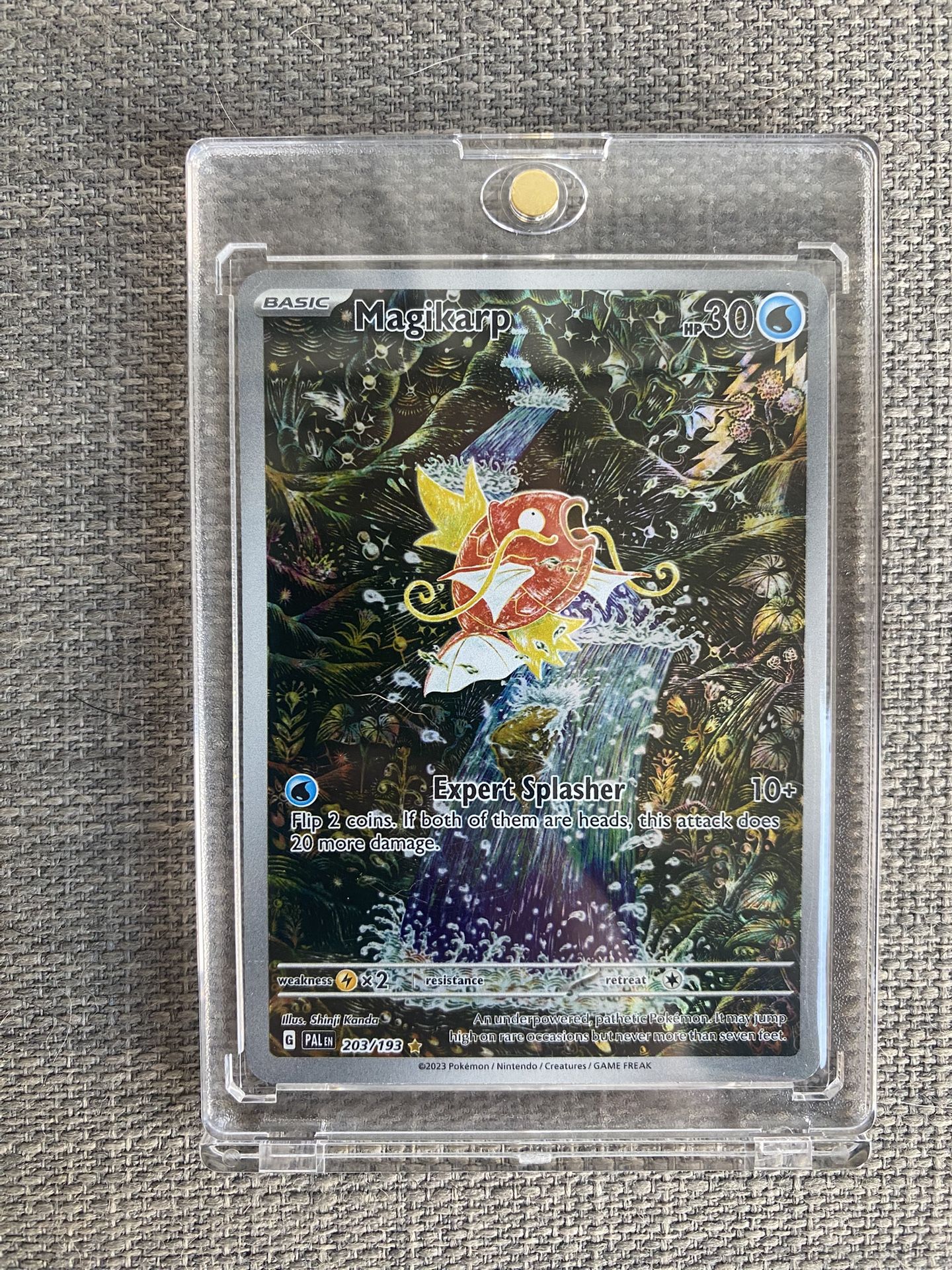 Pokemon Magikarp Paldea Evolved 203/193