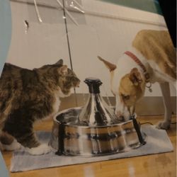 Pet safe Stainless Drink Well