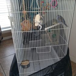 Bird Cage