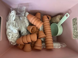 Plant stuff need gone asap! Moving