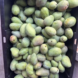 Mangos