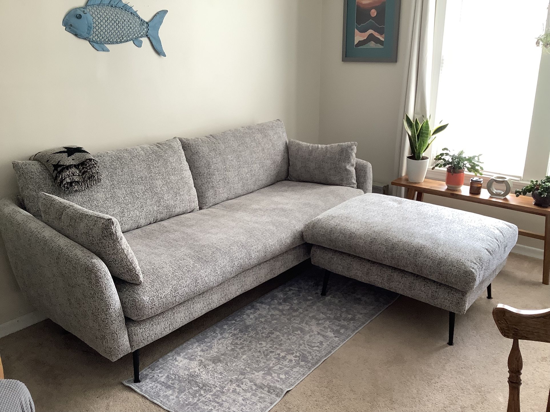 Great Couch & Ottoman