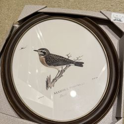 Bird Decoration Art