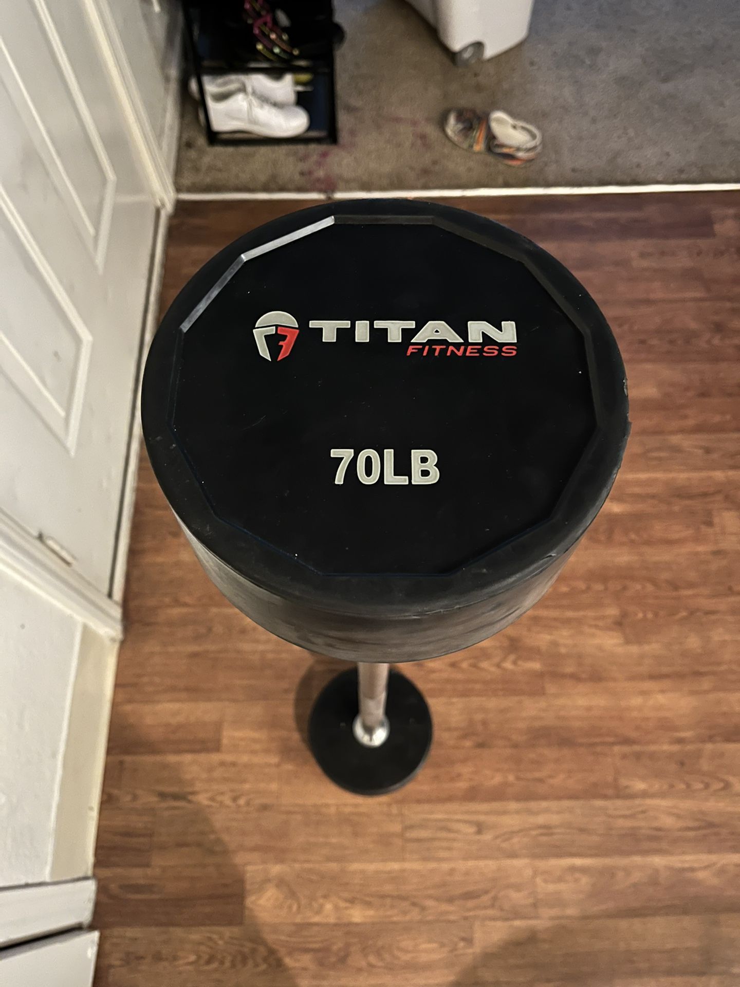 70LB Straight Curl Bar