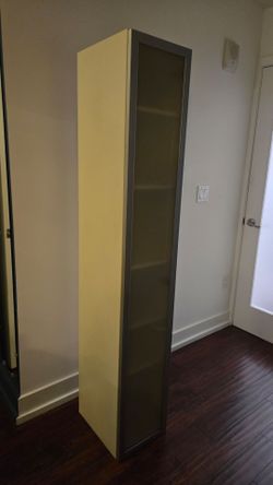 IKEA Tall Storage Cabinet with Frosted Door