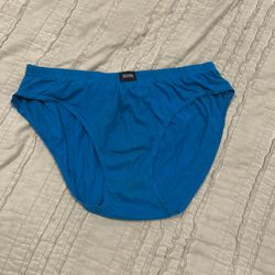 Hanes blue briefs size L