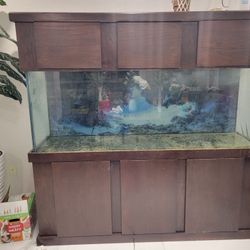 Large 150 Gallon Fish Tank With Storage Cabinets And Accessories 