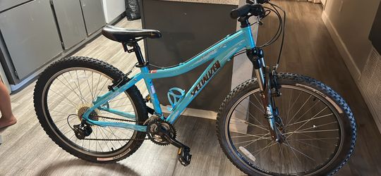 26in specialized