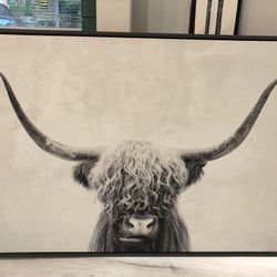 Cow Canvas 