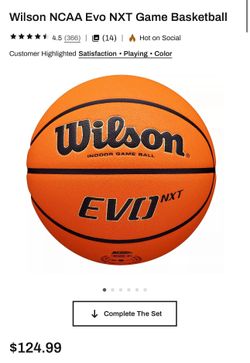 Wilson EVO NXT Basketball