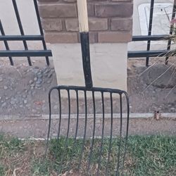 Pich Fork 10 Point