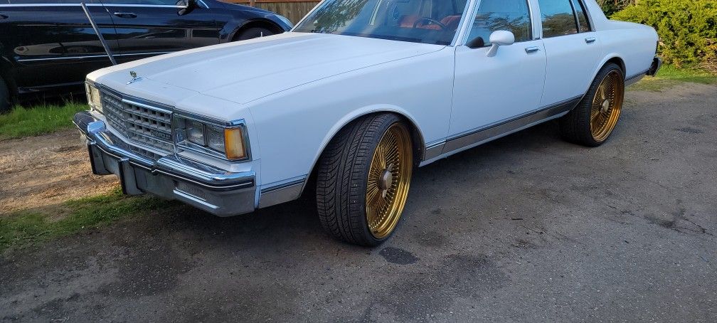 VERY CHEESY 🧀  GOLD READY TO ROLL 24" ALL GOLDS LA WIRE SPOKES WIRE WHEELS LIKE DAYTON ZENITH   Universal 5lug