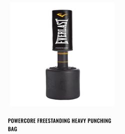 Everlast Punching Bag