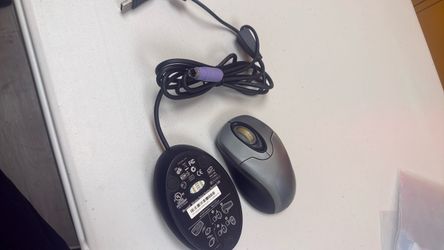 Microsoft Wireless Optical Mouse with Receiver