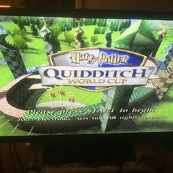 Harry Potter’s Quidditch World Cup