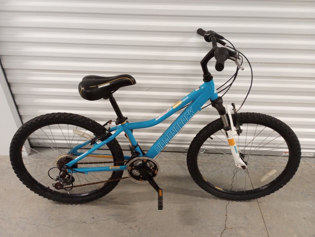 Diamond Lustre 24' Bike