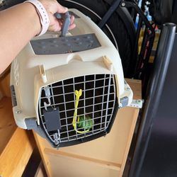 Case for small pet