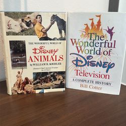 Disney Out of Print Hardcover Books