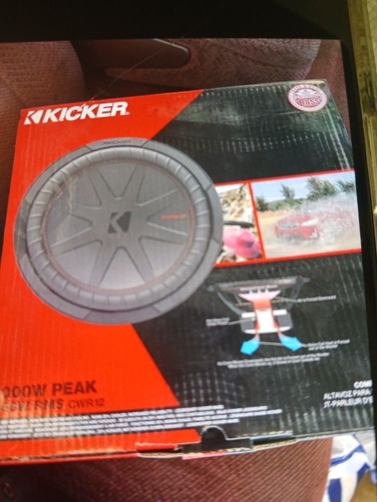 Kicker 12 " Speaker 