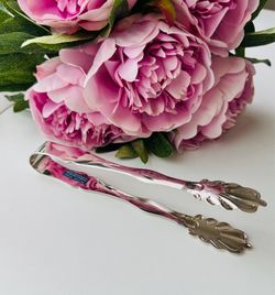 Silverplated Sugar / Ice Tongs – International Silver Co.