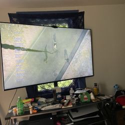 Lg 65 Inch 120 Hz Tv