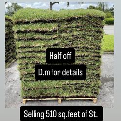 St. Augustine Sod 