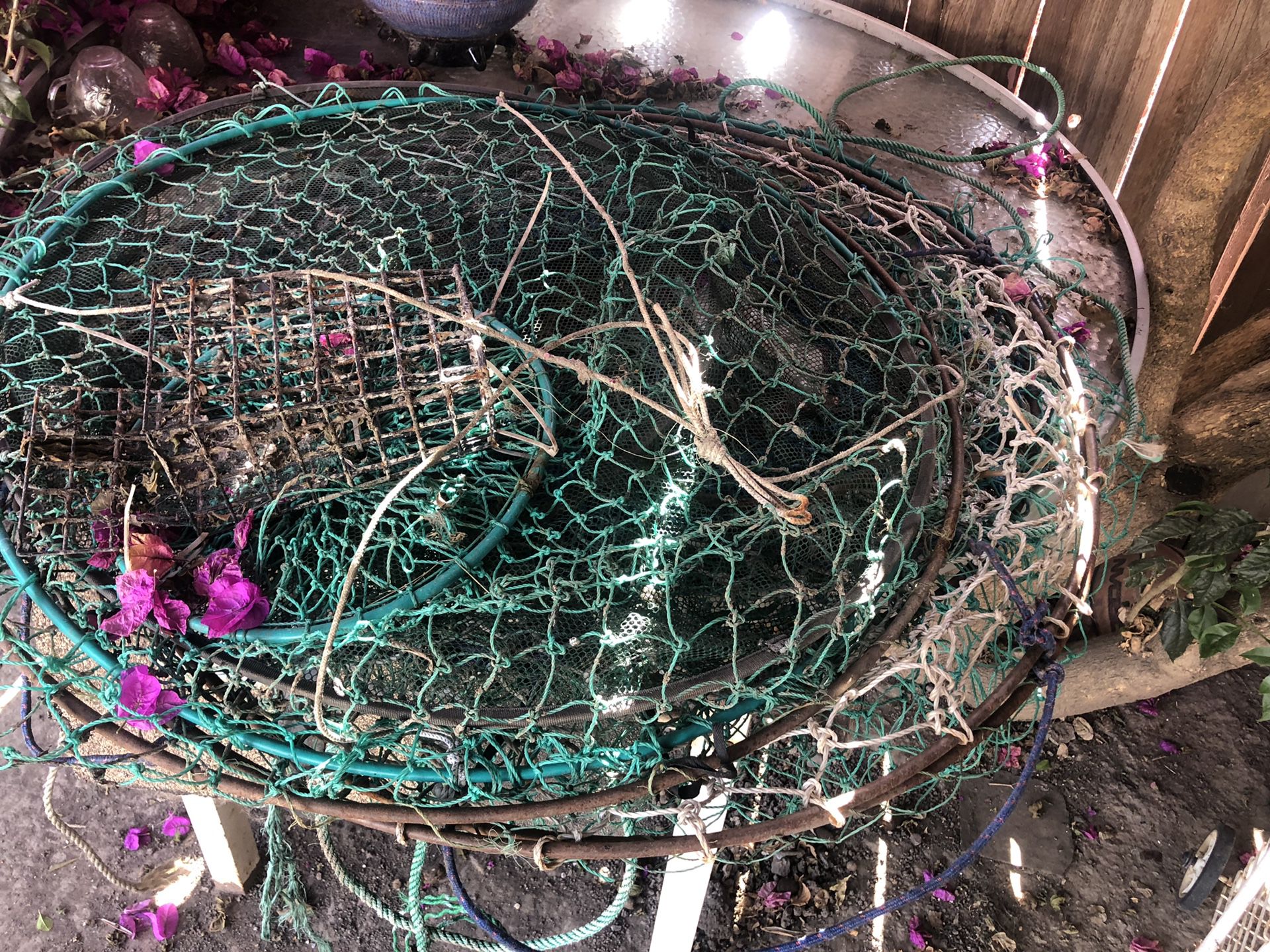 Crab nets for sale