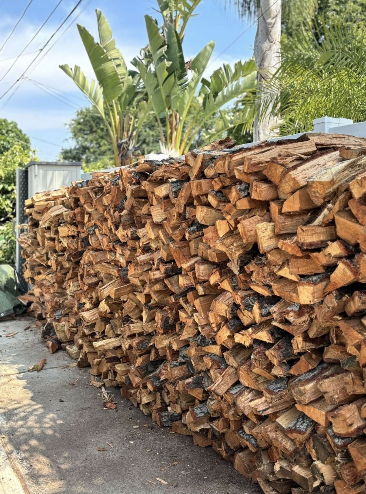 Firewood Logs🪵