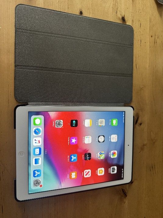 Ipad Air 1st Gen