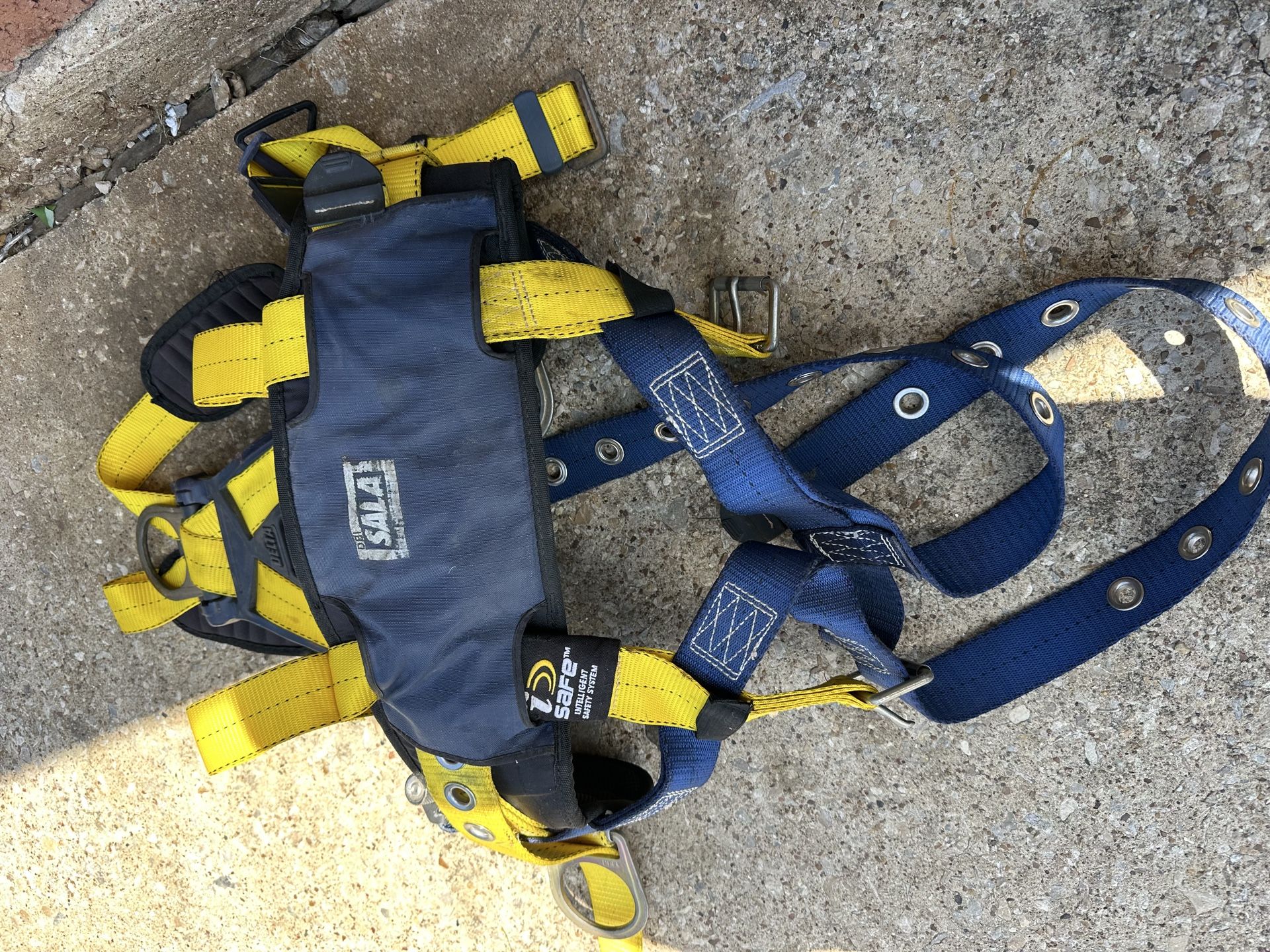 Harness