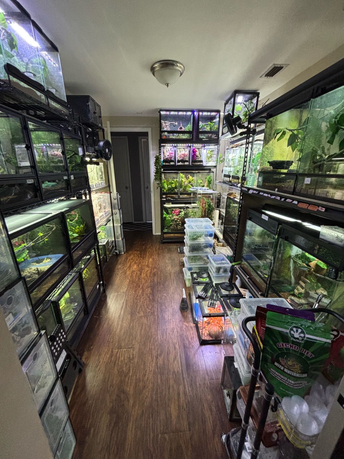 Reptile enclosures and accessories