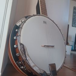 5-String Banjo, never used