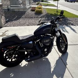 2014 Sportster 883 Iron Harley Davidson