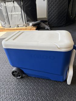 Igloo Cooler