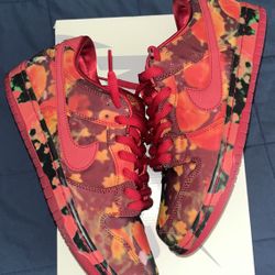 Nike Sb