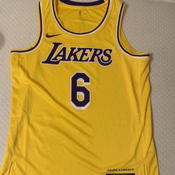 BAPE x Mitchell & Ness Lakers ABC Basketball Swingman Jersey for Sale in  Hartford, CT - OfferUp