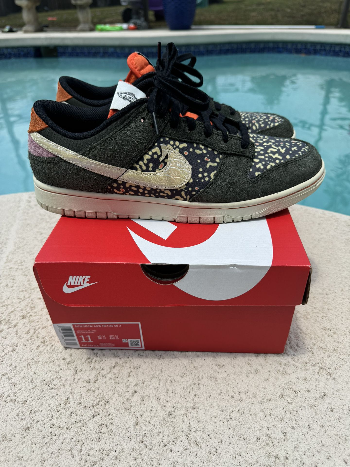 Nike Dunk Low “Rainbow Trout” Size 11