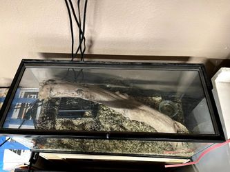 Cage/aquarium sand boa